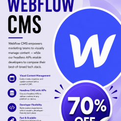 Webflow CMS Professional Platform
